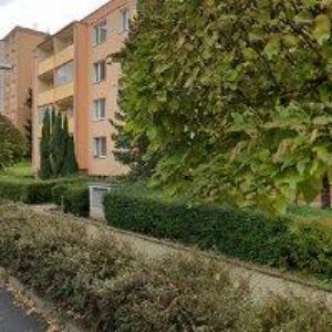 obrazek: avatar GROMES MILOŠ