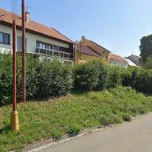 obrazek: avatar CETKOVSKÝ ZDENĚK