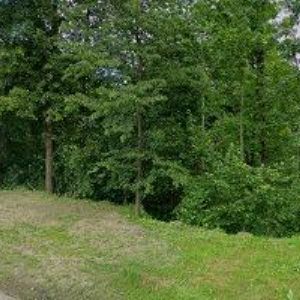 obrazek: avatar TOMICZKOVÁ AGNIESZKA