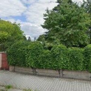 obrazek: avatar SIDOMONT