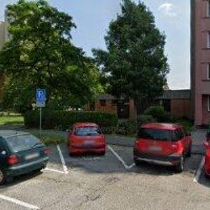 obrazek: avatar SZTULOVÁ HALINA