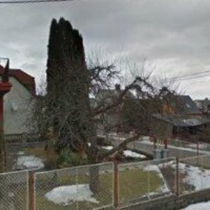 obrazek: avatar HON ALEŠ