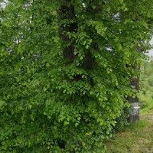 obrazek: avatar SMP-SLUŽBY, s.r.o.