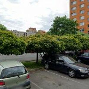 obrazek: avatar MARTÍNEK TOMÁŠ