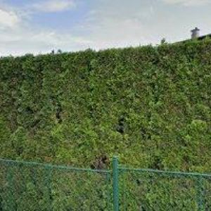 obrazek: avatar PEŠKAR PETR