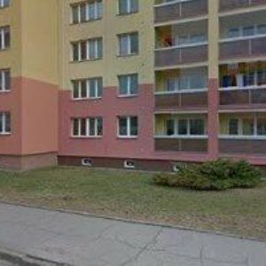 obrazek: avatar NEUWIRTH MILIČ