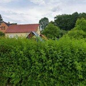 obrazek: avatar OLIVKA RICHARD