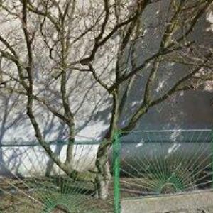 obrazek: avatar ZŠ Šumvald