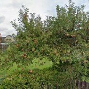 obrazek: avatar ZŠ A MŠ Babice