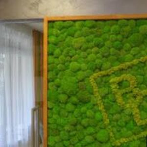 obrazek: avatar EL. CENTRUM s.r.o