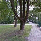 MŠ MICHALSKÉ STROMOŘADÍ Olomouc