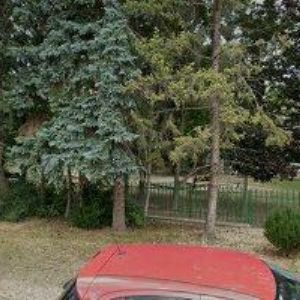 obrazek: avatar ZUŠ MILOSLAVA STIBORA