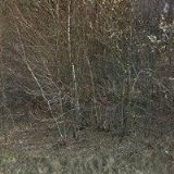 ELEKTRO KOZELSKÝ s.r.o.