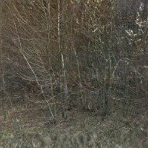 obrazek: avatar ELEKTRO KOZELSKÝ s.r.o.