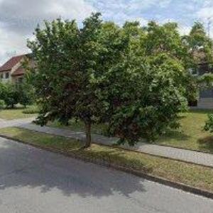 obrazek: avatar ZŠ Doloplazy