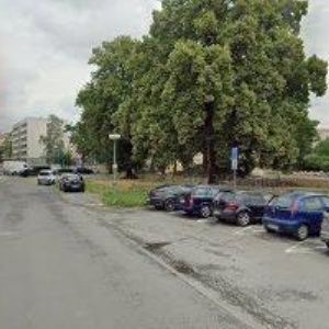 obrazek: avatar ZUŠ ŽEROTÍN