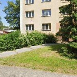 obrazek: avatar PLACHÝ MAREK