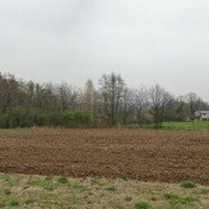 obrazek: avatar STRONČEK MIROSLAV-ELMOPS