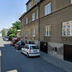 obrazek: avatar MALINA RENÉ