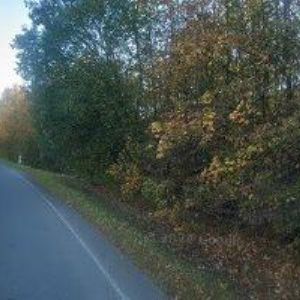 obrazek: avatar ZŠ A MŠ Třanovice