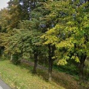 obrazek: avatar ZŠ Dvorce