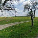 ZŠ A MŠ Větřkovice