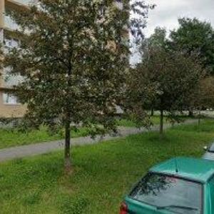 obrazek: avatar ZŠ Frýdek-Místek