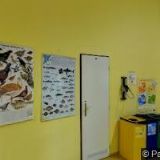 SLEZSKÉ GYMNÁZIUM Opava