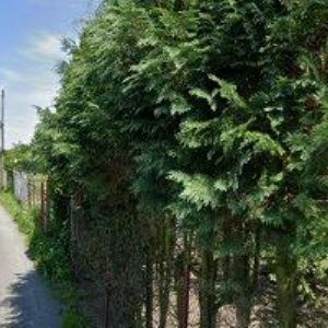 obrazek: avatar ZŠ A MŠ T.G.MASARYKA Frenštát pod Radhoštěm