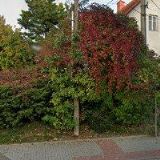 ZŠ A MŠ Zbyslavice