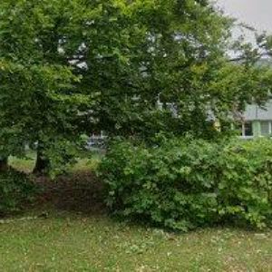 obrazek: avatar ZŠ Ostrava-Zábřeh, Kpt. Vajdy 1a