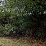 MŠ Ostrava-Petřkovice