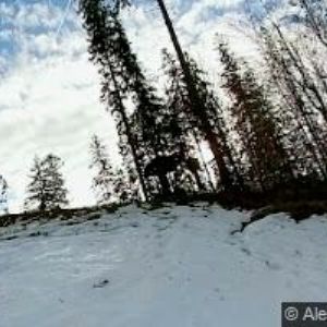 obrazek: avatar MŠ Bílá