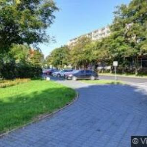 obrazek: avatar AMY STUDIO