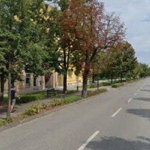 obrazek: avatar NEVŘALOVÁ IRENA