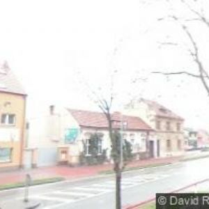 obrazek: avatar LOSÍKOVÁ MARIE