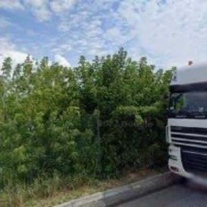 obrazek: avatar KADEŘNICTVÍ 100 CZK