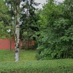 obrazek: avatar VESALIUS spol. s r.o.