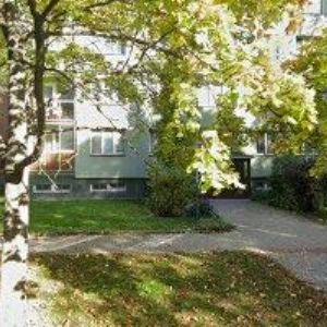 obrazek: avatar MEGGY