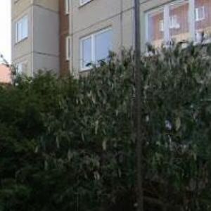 obrazek: avatar BOŽEK LADISLAV MUDr.