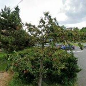 obrazek: avatar REMED STUDIO ZDRAVÍ A KRÁSY