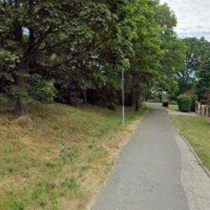 obrazek: avatar FELEROVÁ DANIELA