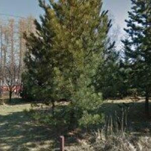 obrazek: avatar KADEŘNICE BÁRA