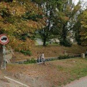 obrazek: avatar STUDIO BEE