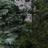 MAESTRA LIVING s.r.o.