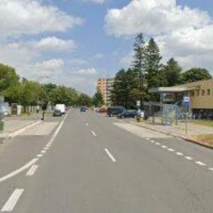 obrazek: avatar TATTOO KNOCKOUT