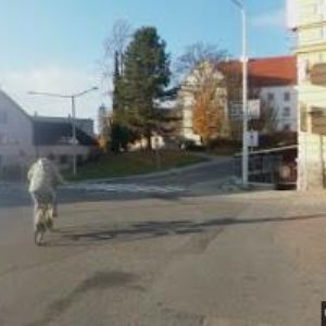 obrazek: avatar ŽUŠKOVÁ MARTA