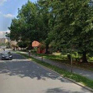 obrazek: avatar COSMETIC MALU WILZ