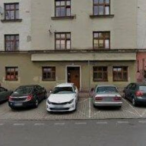 obrazek: avatar BORNEROVÁ ALENA