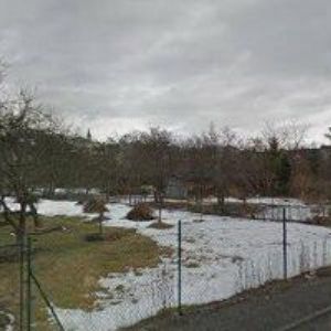 obrazek: avatar BOLKOVÁ IVETA